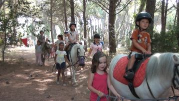 Balades à poney