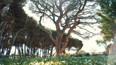 Image Le Camping**** Saint Aygulf Plage ouvre ses portes le samedi 5 avril