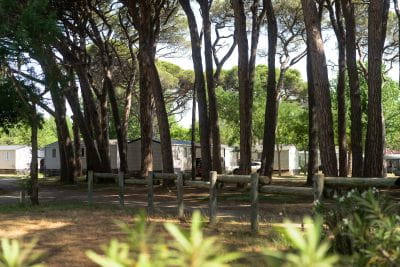 Image Pourquoi partir en vacances hors saison au Camping Saint-Aygulf ?