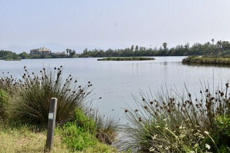 image Bonne année 2026 au Camping Saint‑Aygulf Plage : cap sur une nouvelle saison “les pieds dans le sable”