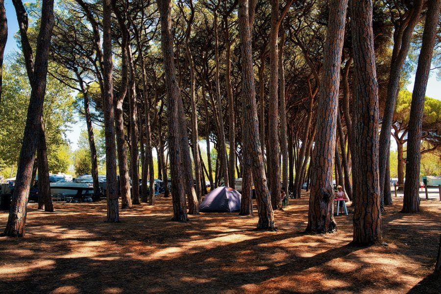 Les meilleures places partent vite