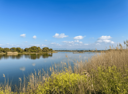 image Mars à Saint‑Aygulf : le printemps frappe à la porte