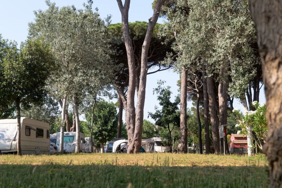 11 avril : le camping ouvre ses portes