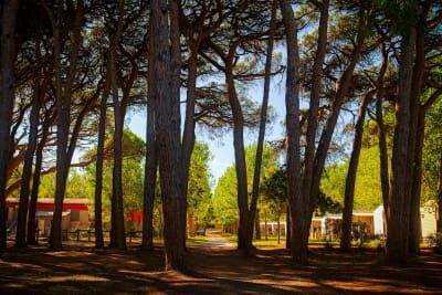 Image SEPTEMBRE AU CAMPING SAINT‑AYGULF PLAGE : L’ÉTÉ CONTINUE, AUTREMENT